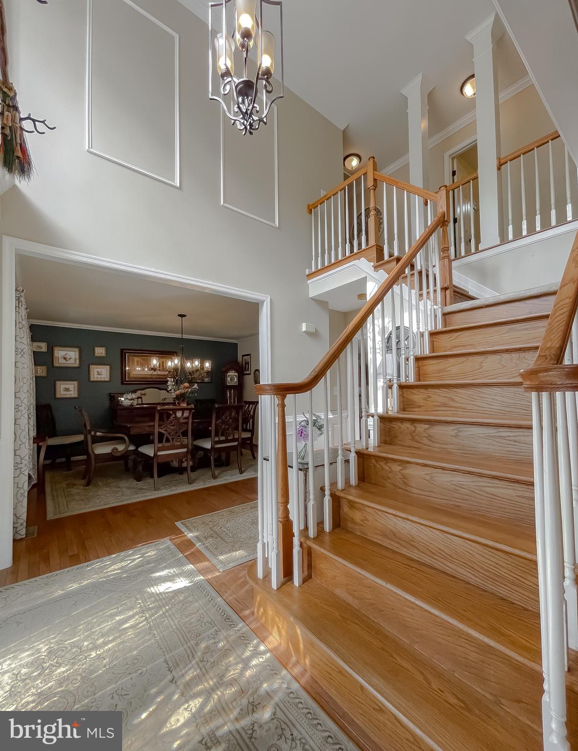 44906 GOLDEN EYE COURT