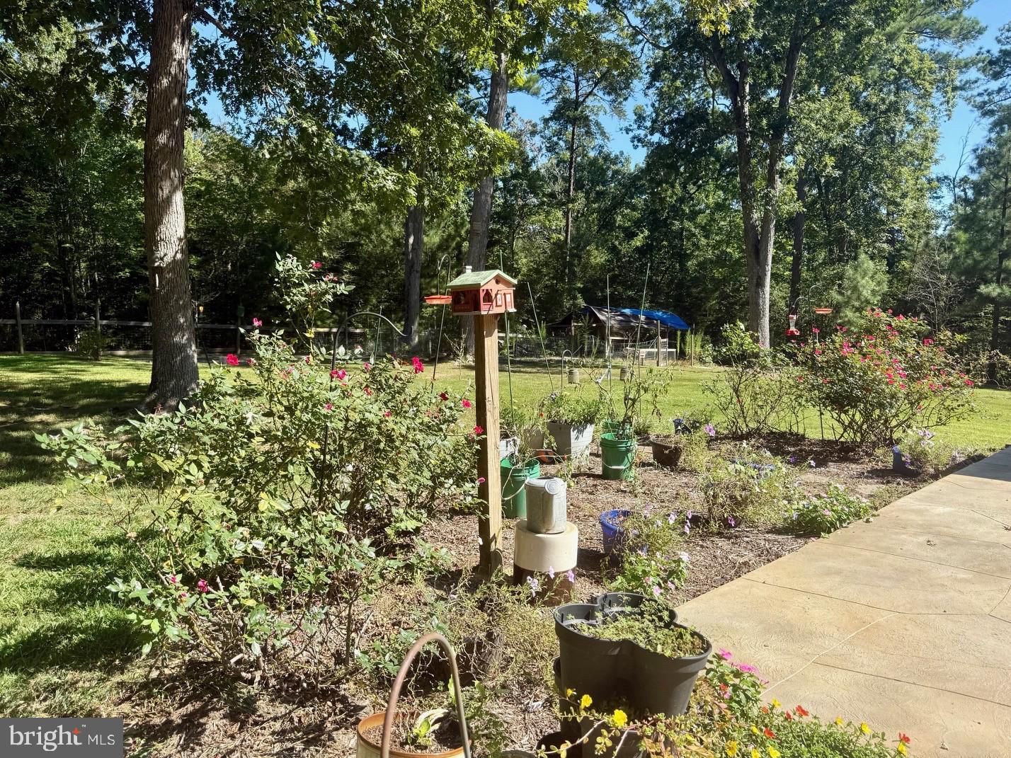 20413 SCARLET TANAGER WAY