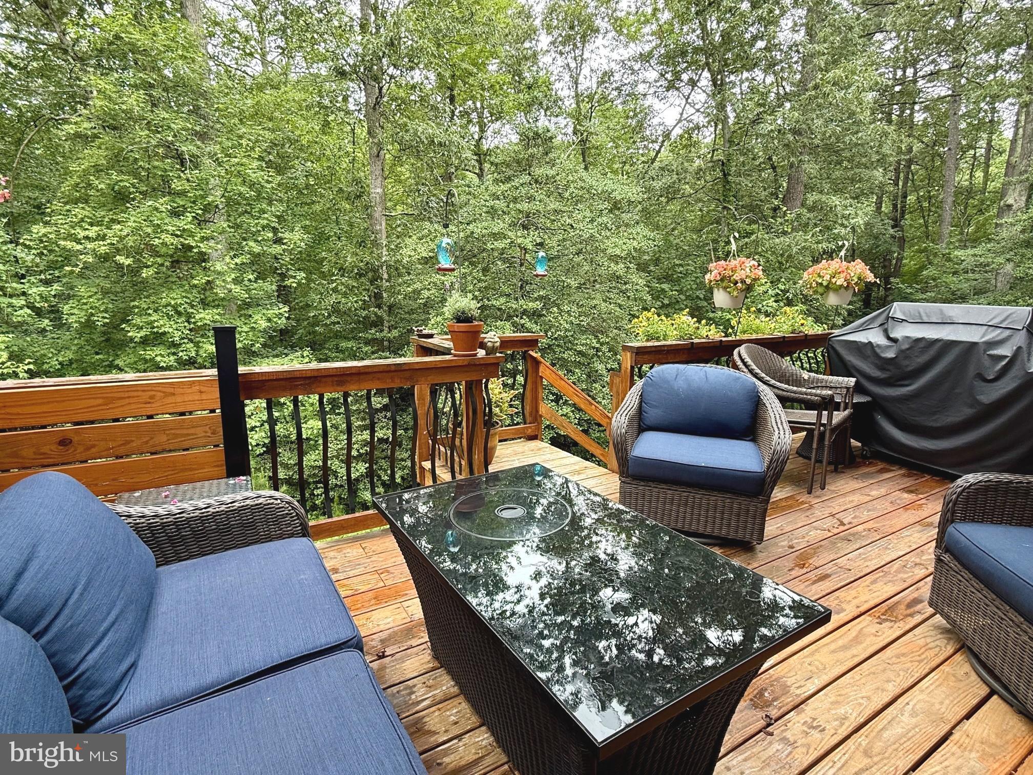 23185 PINEY WOOD CIRCLE