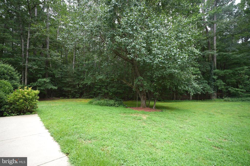 20814 DEER WOOD PARK DRIVE