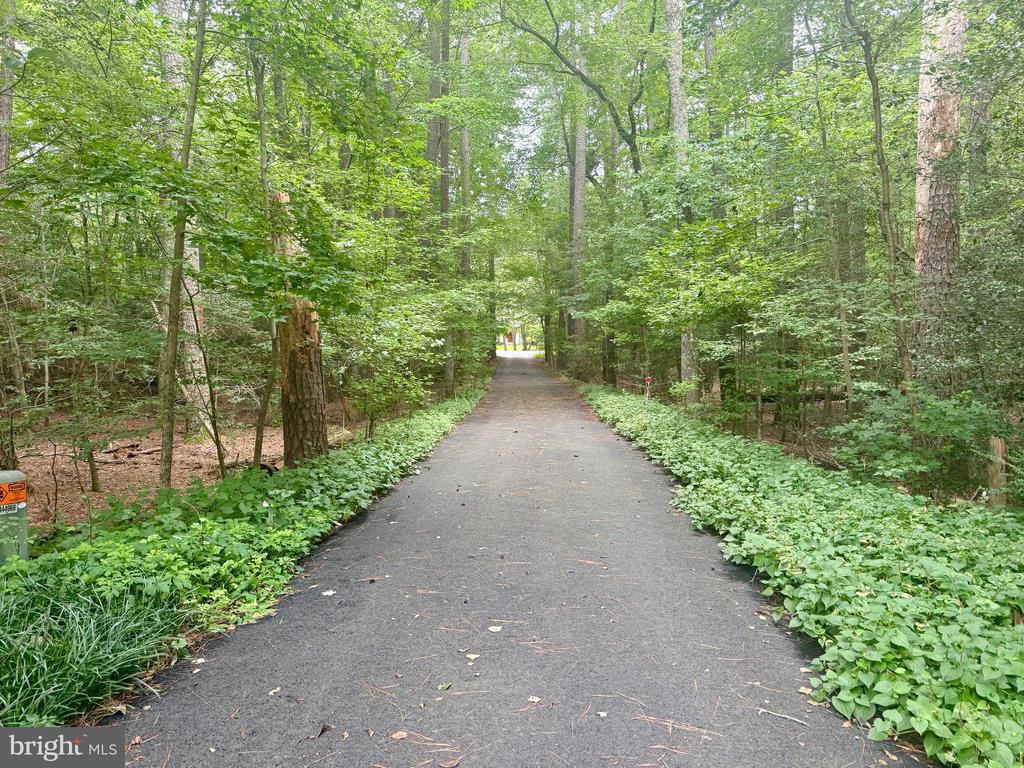 20814 DEER WOOD PARK DRIVE