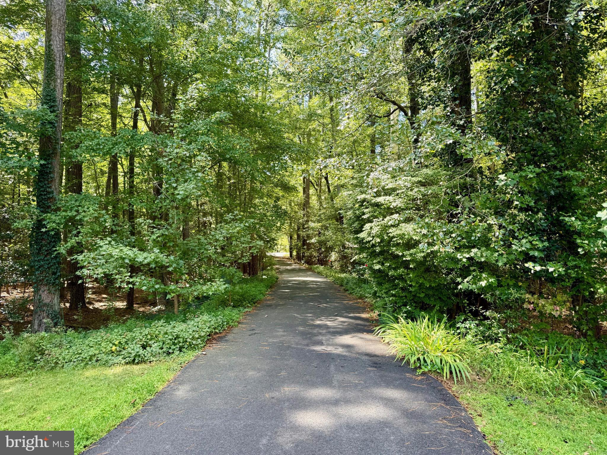 20814 DEER WOOD PARK DRIVE