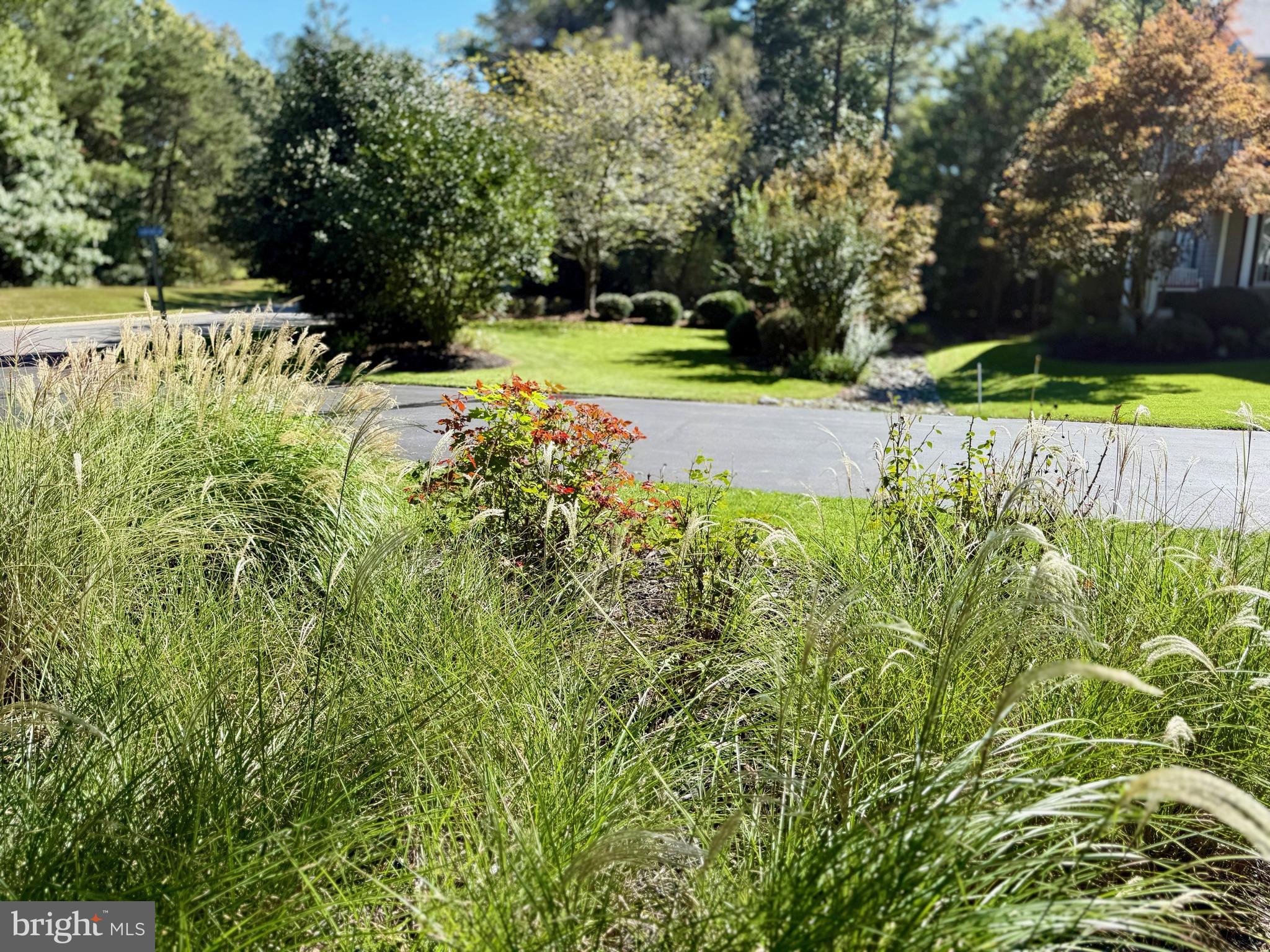 23139 CLOVER RIDGE LANE