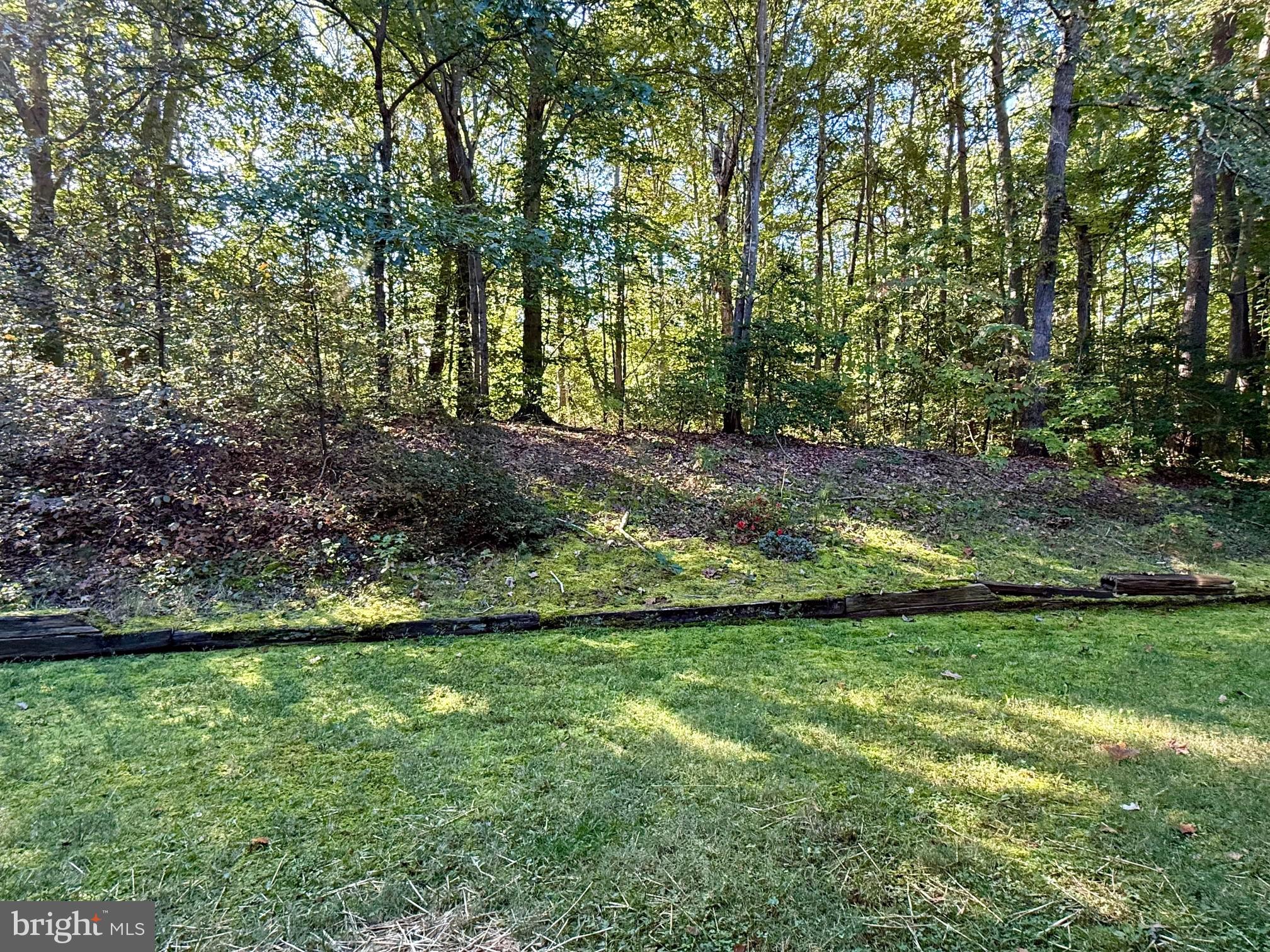44691 WHITE OAK COURT 503