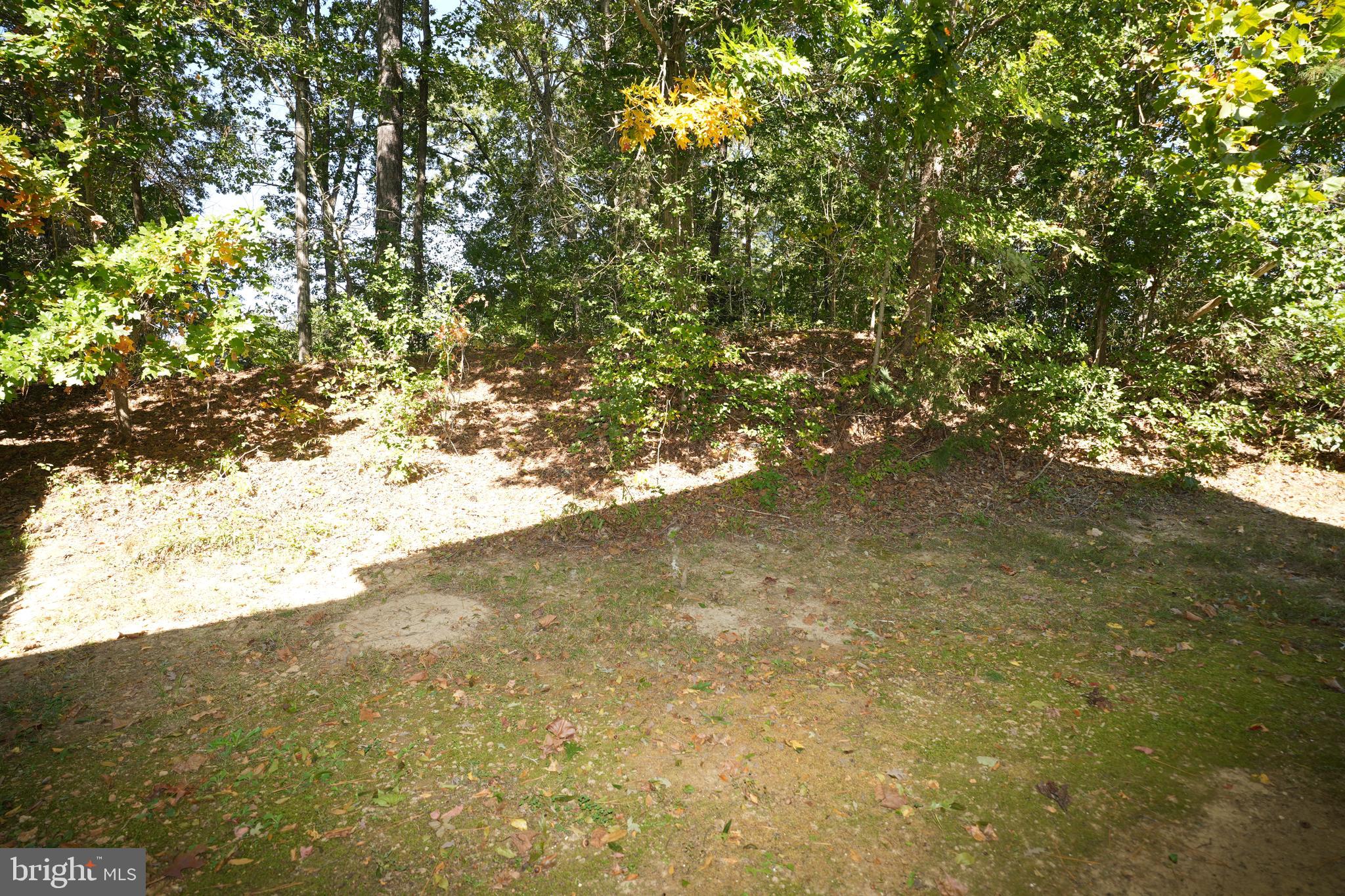 45828 WOLFTRAP WAY