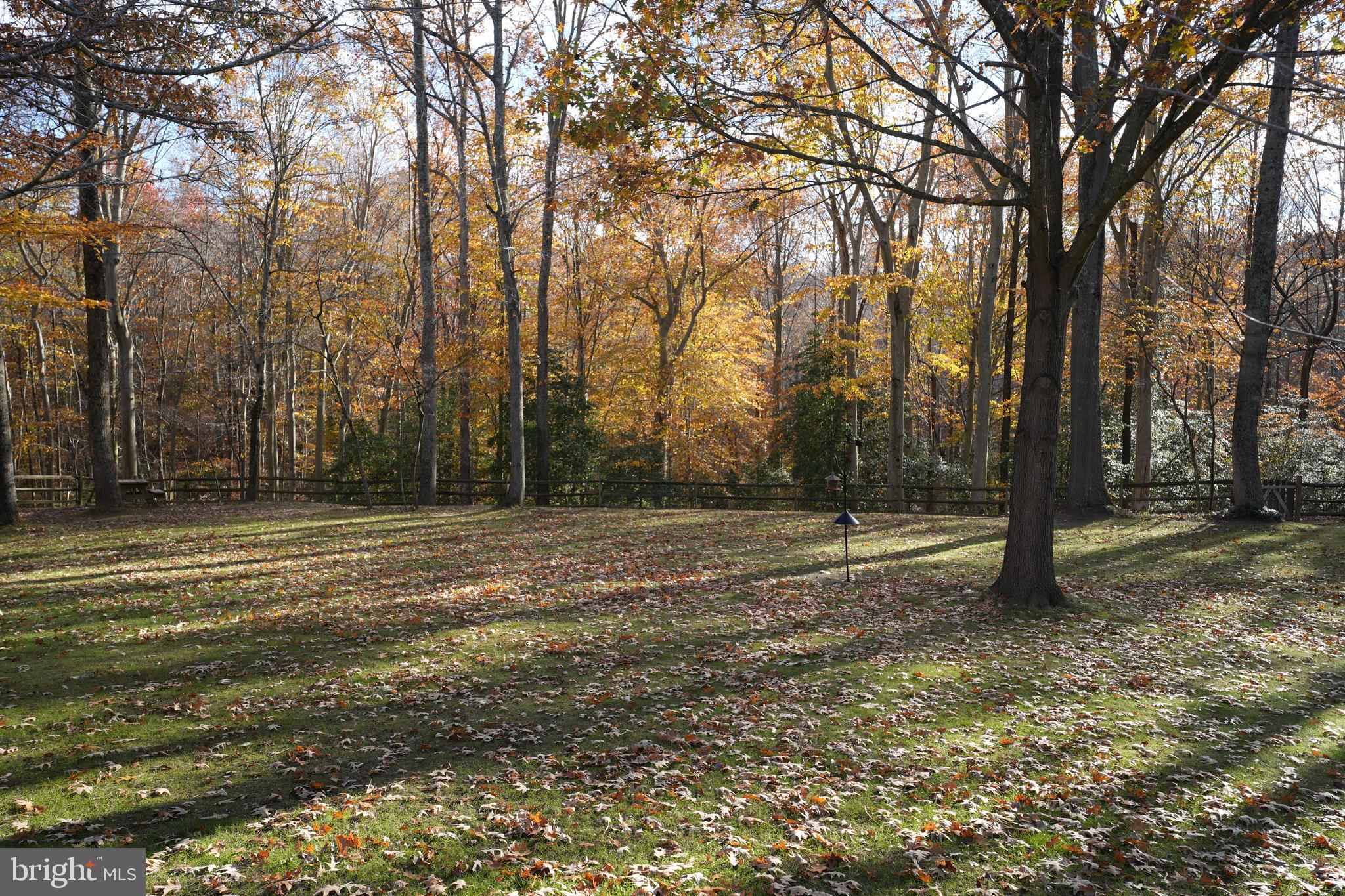 38711 HIDDEN POND COURT