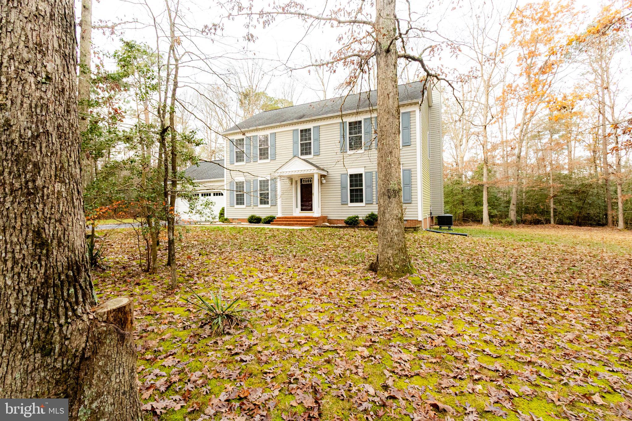 20753 CHESTNUT RIDGE DRIVE