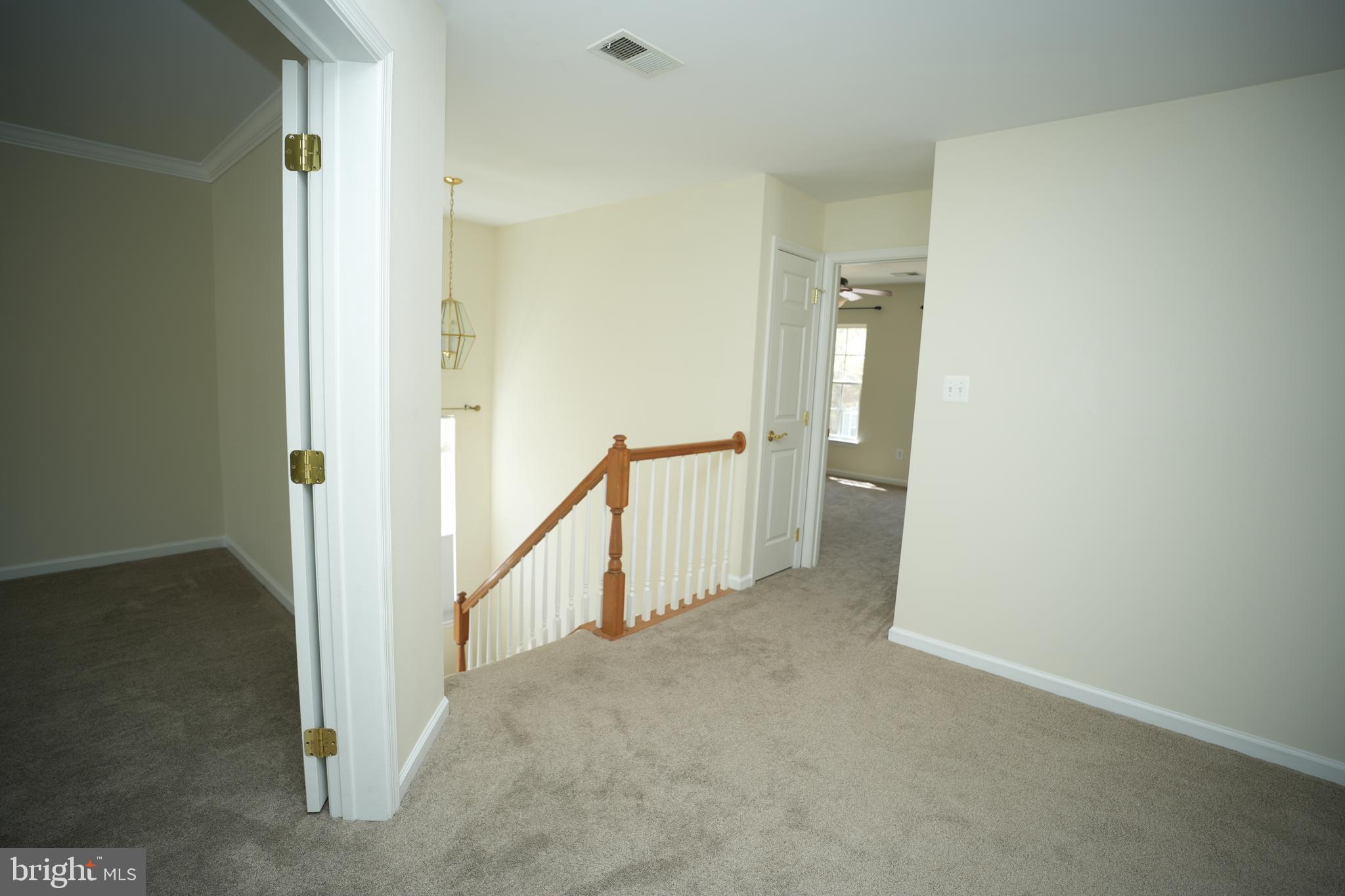 23422 CAMELLIA COURT