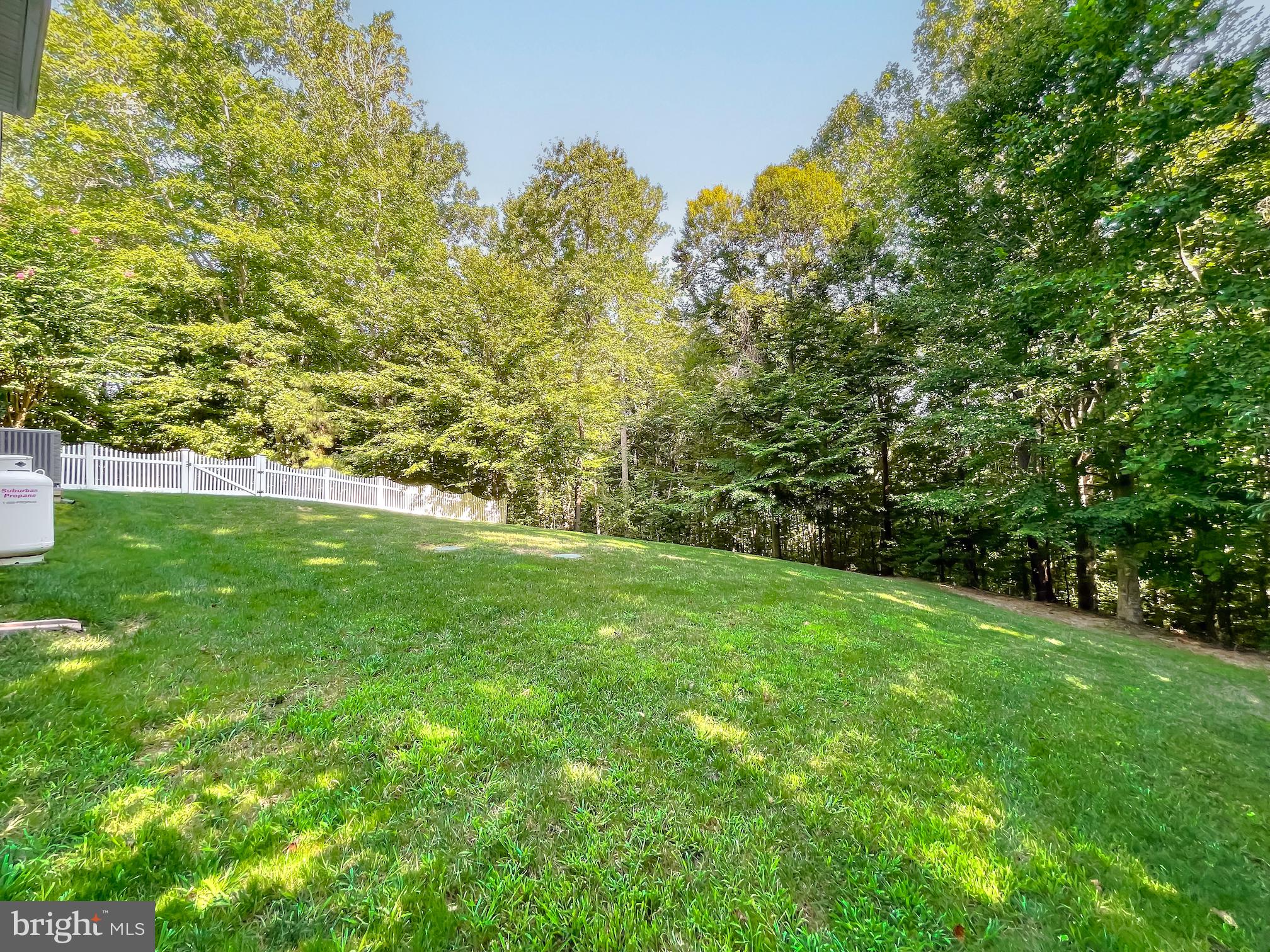 24646 APPLE SAUCE LANE