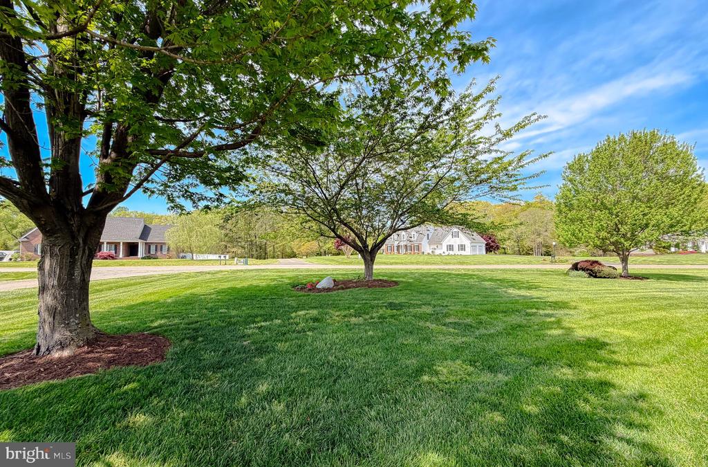 24570 SPRIGGS COURT