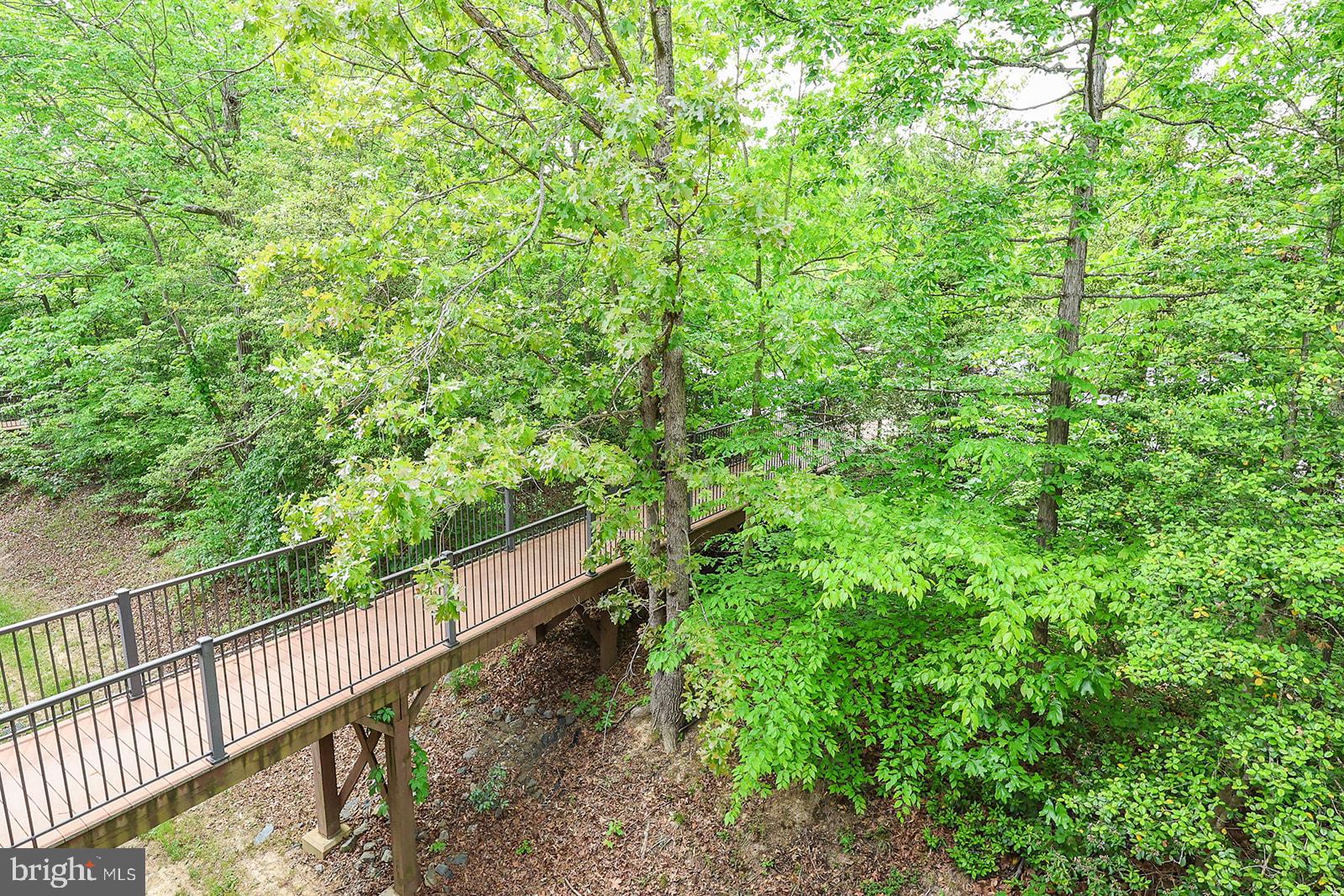 23240 ROSEWOOD COURT 9
