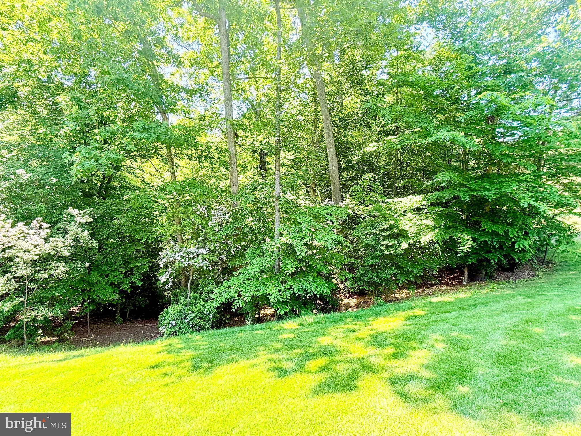 42102 WOODY LANE