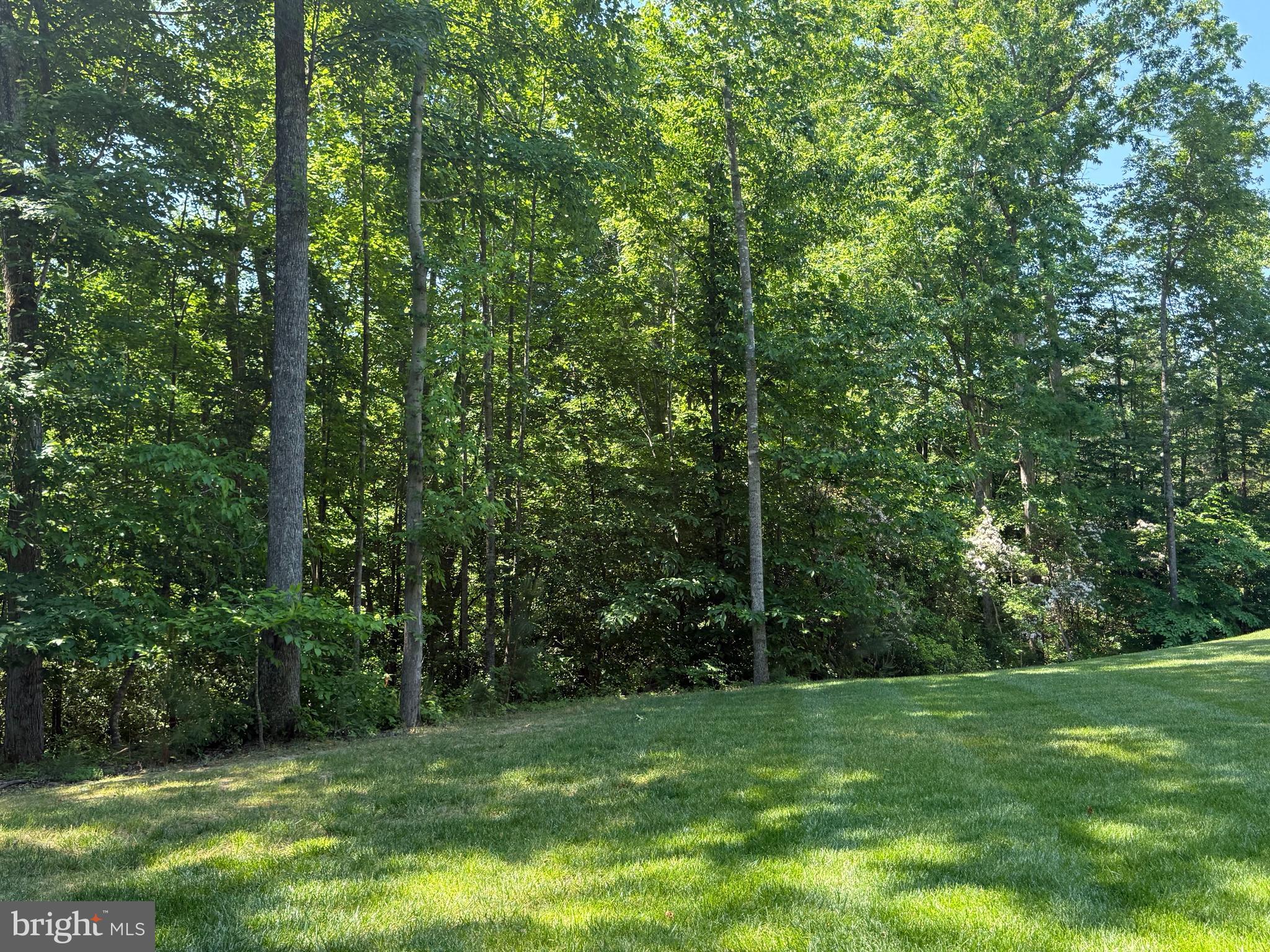 42102 WOODY LANE