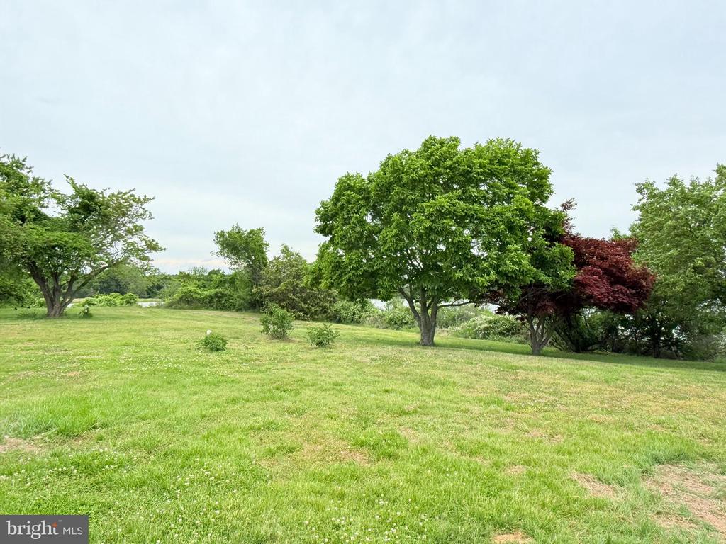 48724 CURLEYS ROAD