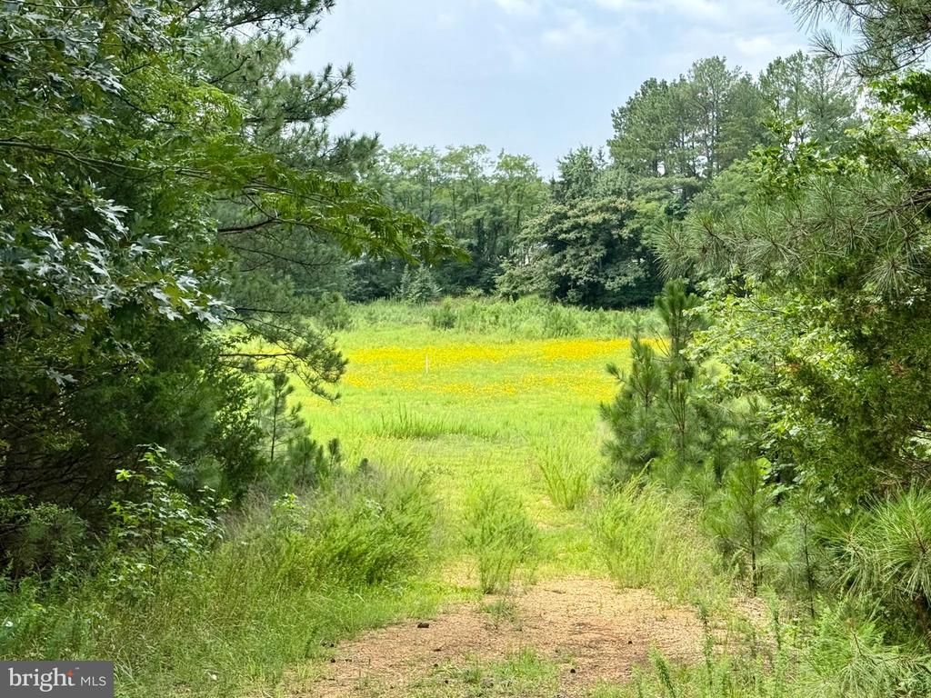 45291 TAKE IT EASY RANCH ROAD