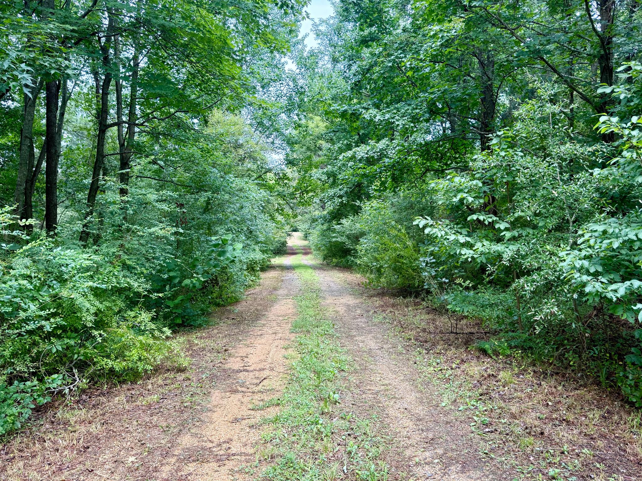 45291 TAKE IT EASY RANCH ROAD