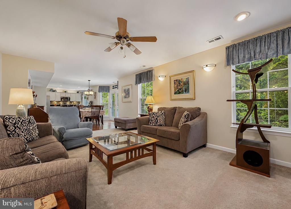 20953 PINTAIL COURT