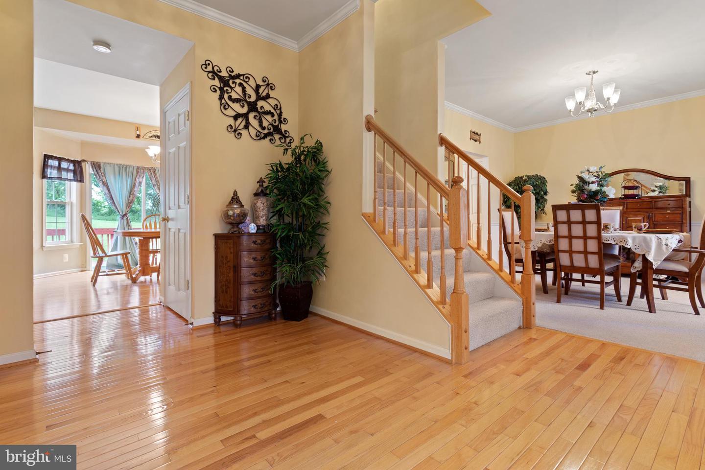 10006 Rider COURT