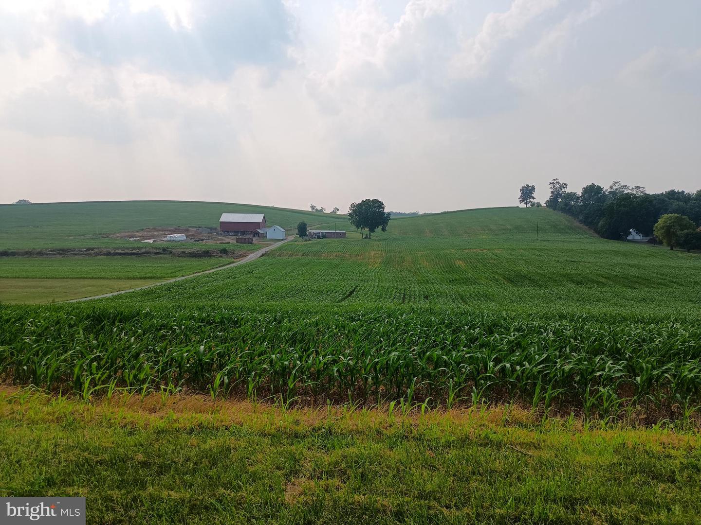 14022 Poplar Grove ROAD