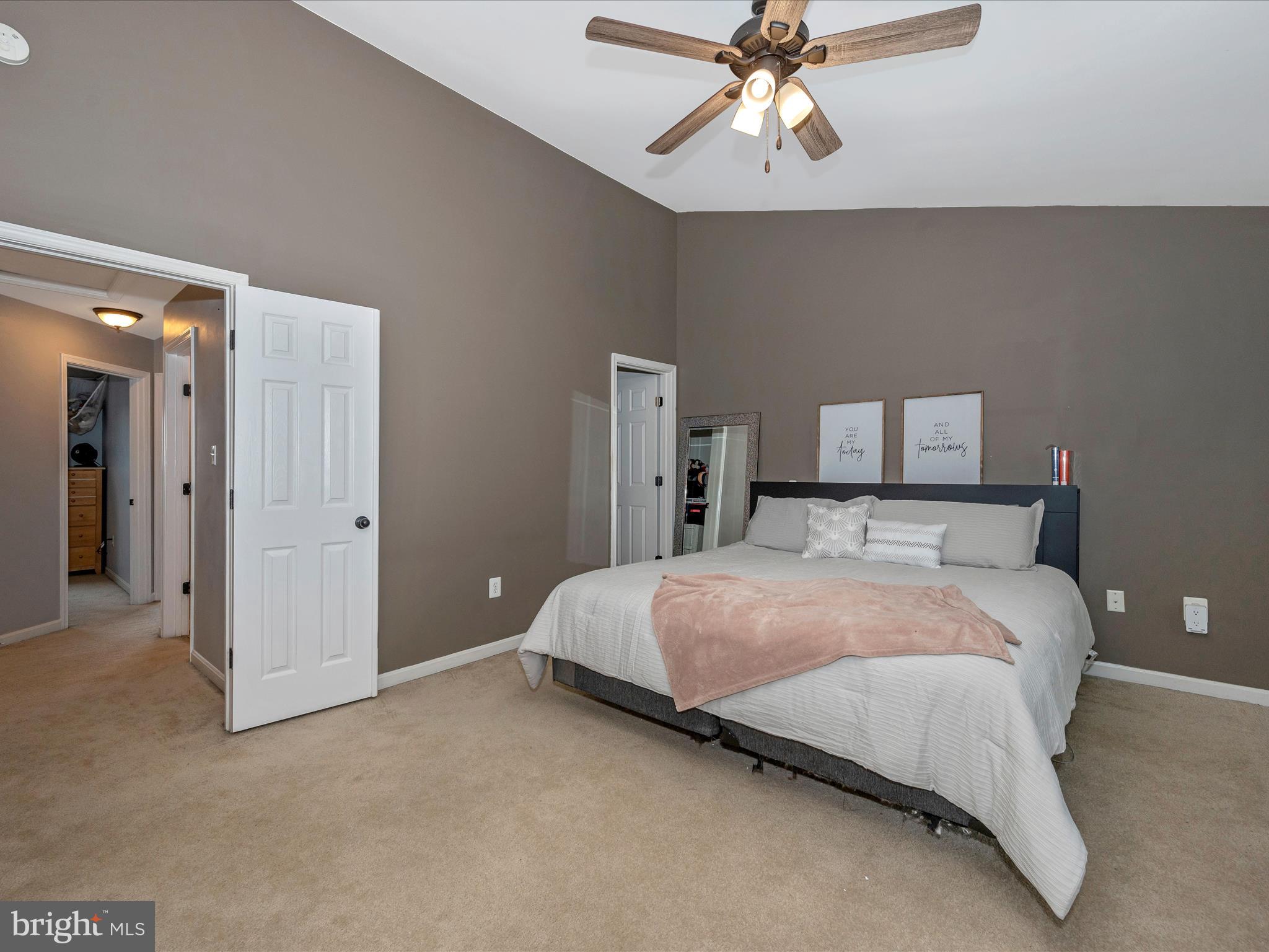 407 Green Fern CIRCLE