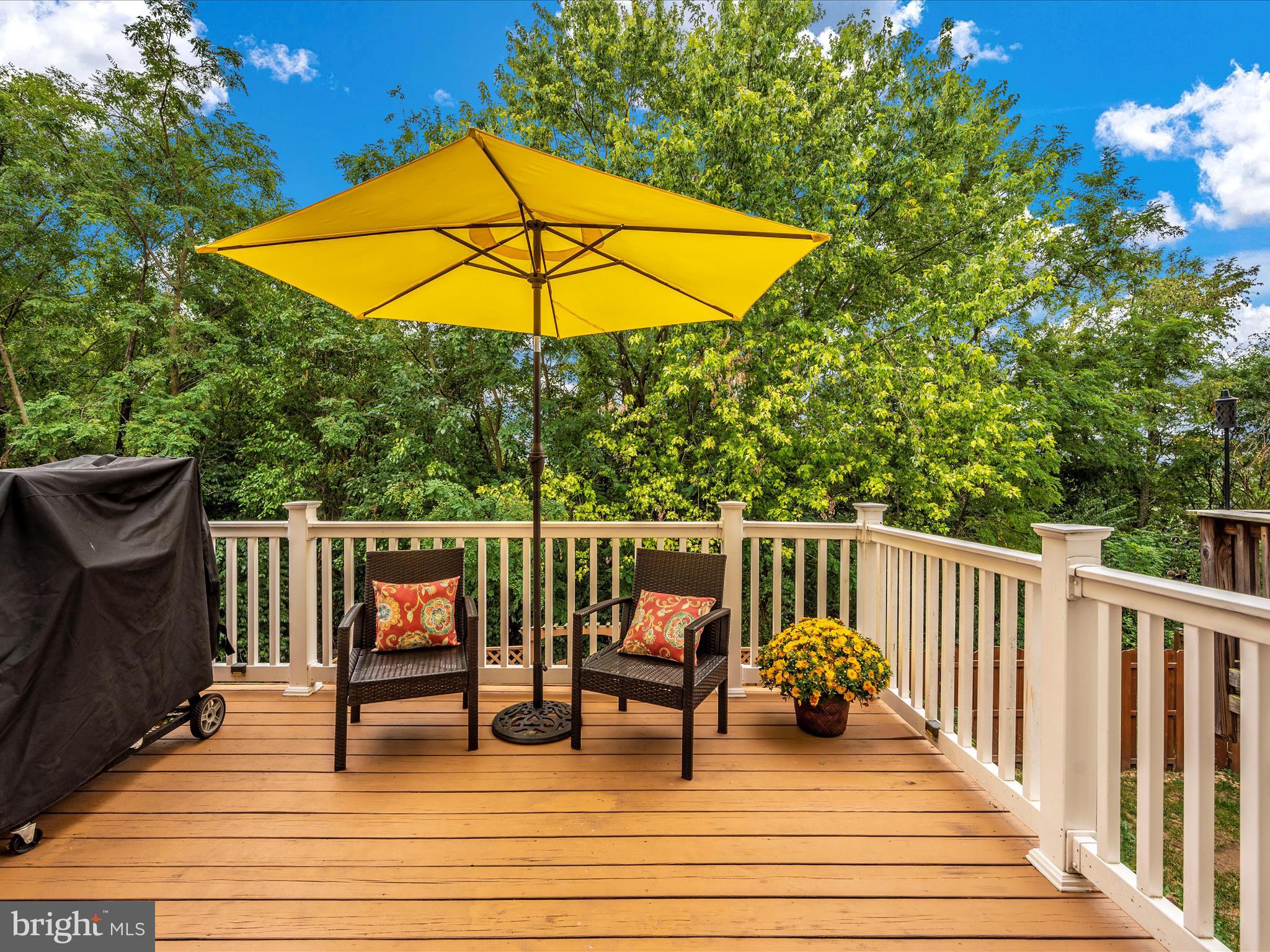 407 Green Fern CIRCLE
