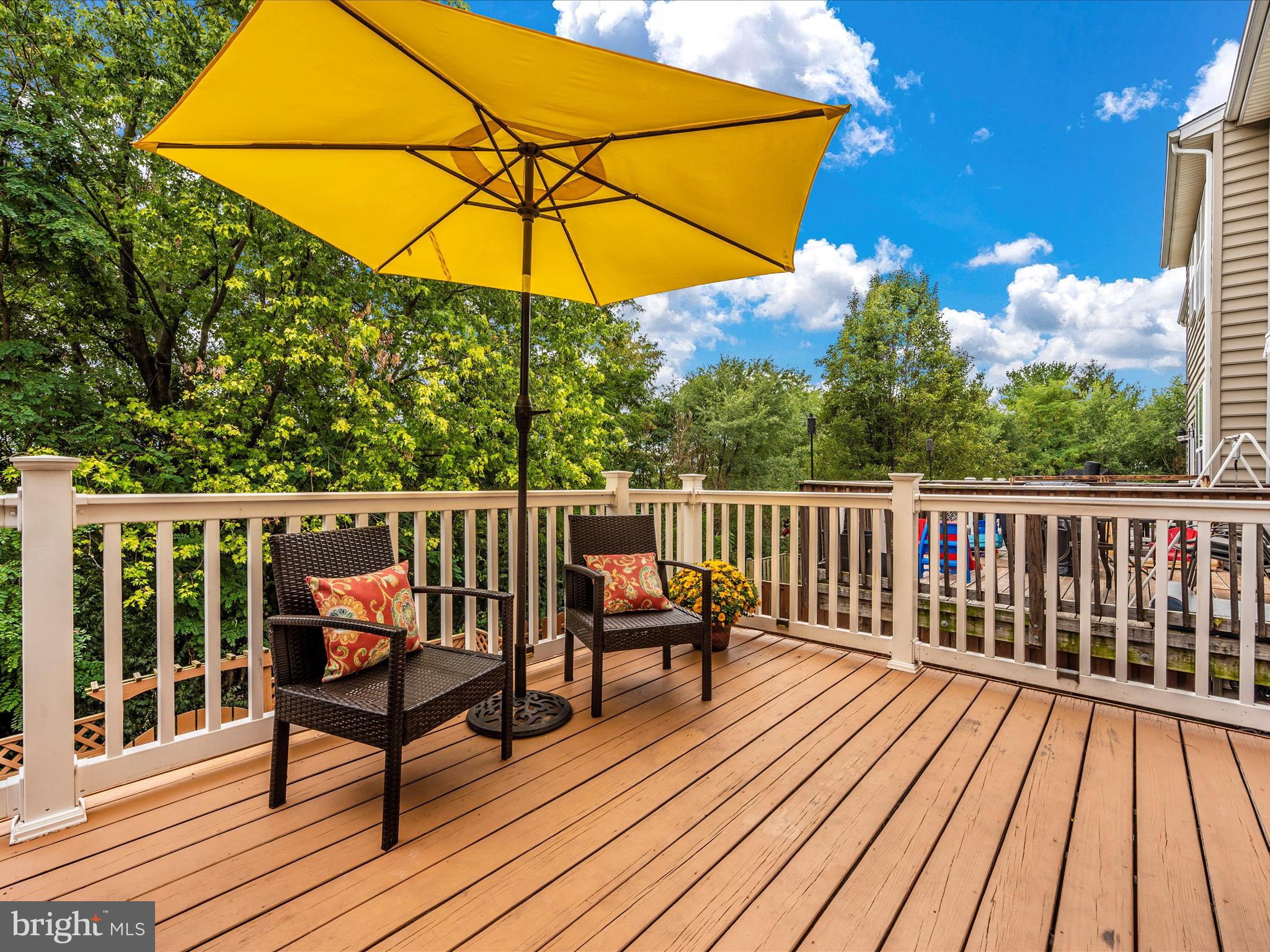 407 Green Fern CIRCLE