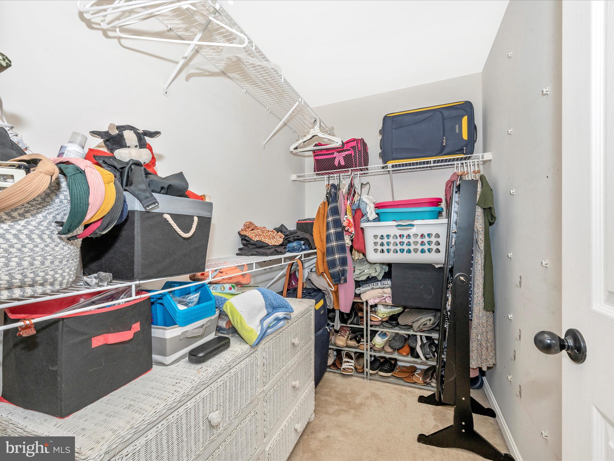 407 Green Fern CIRCLE