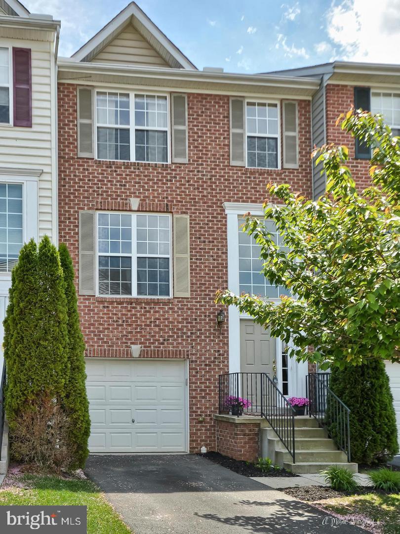 407 Green Fern CIRCLE