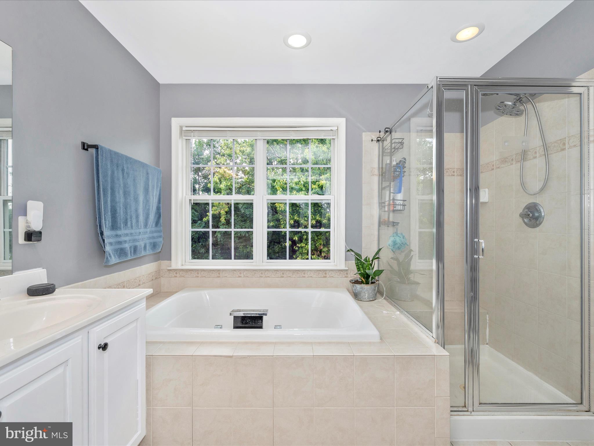 407 Green Fern CIRCLE