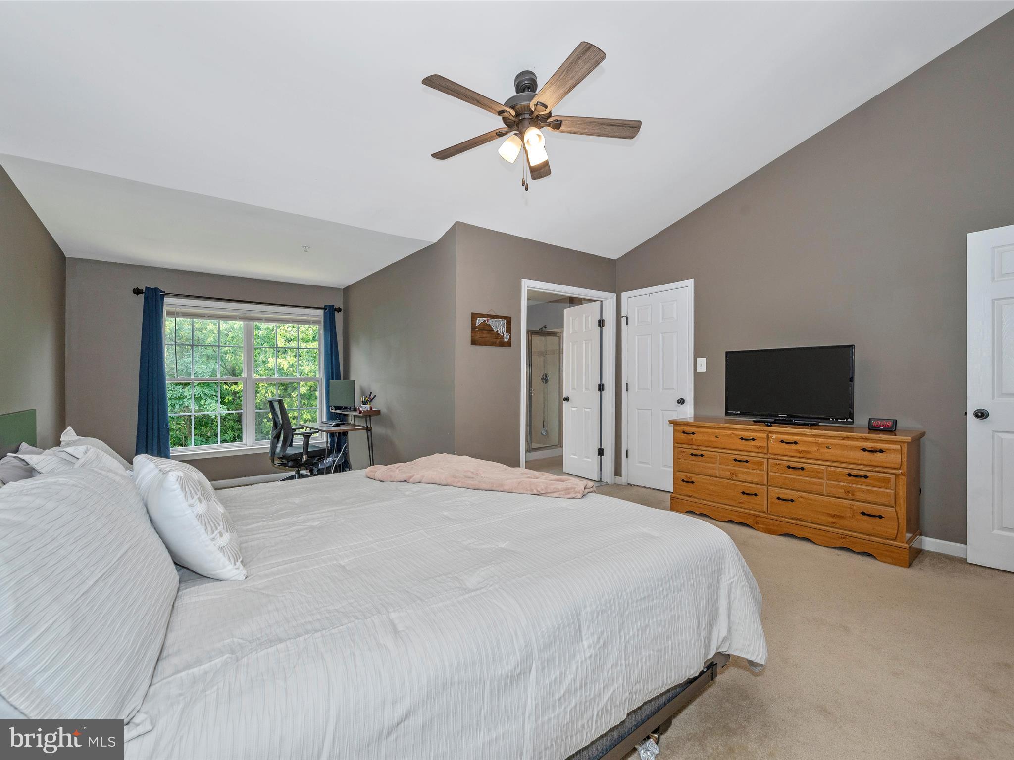 407 Green Fern CIRCLE