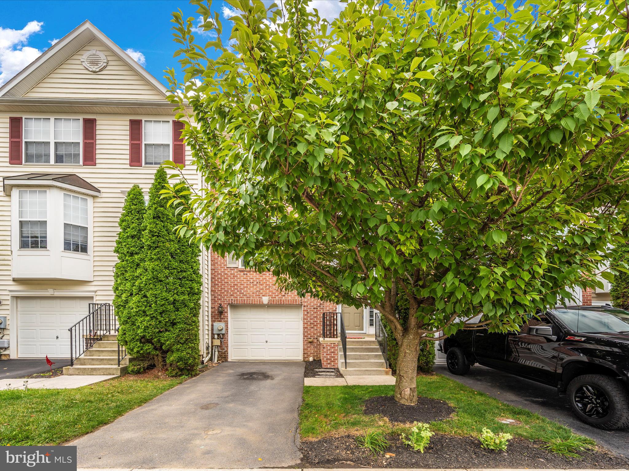 407 Green Fern CIRCLE