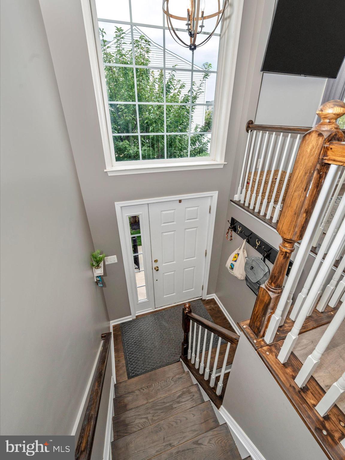 407 Green Fern CIRCLE