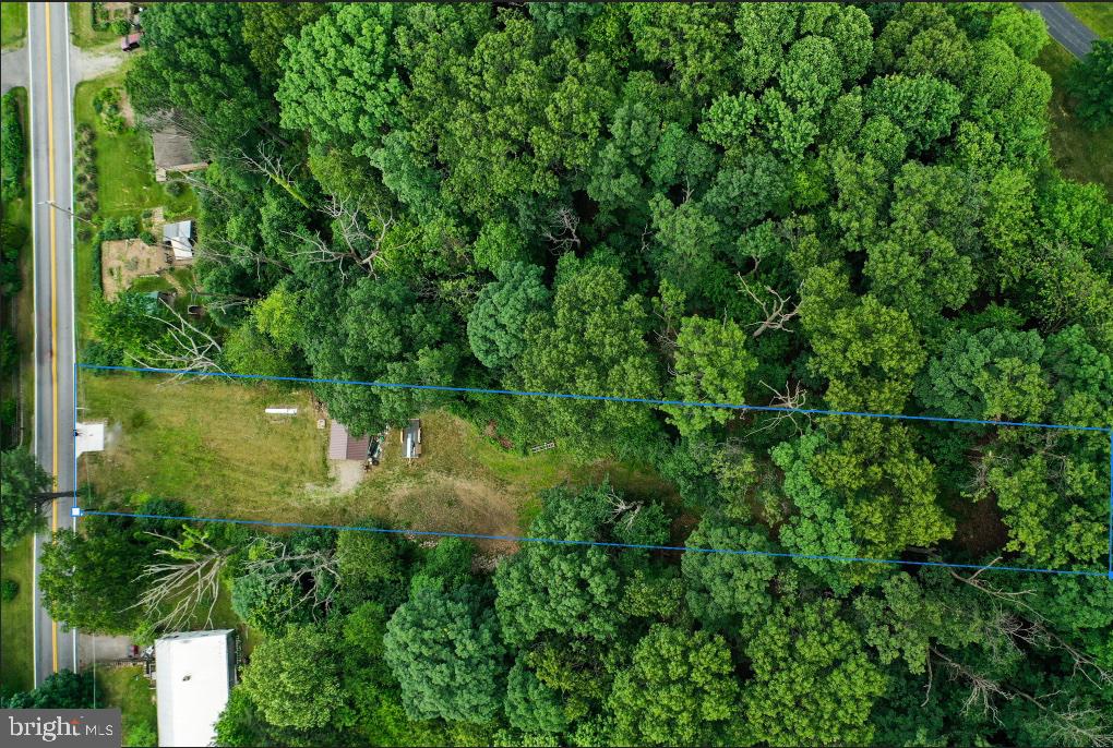 Mountain Laurel Rd N
