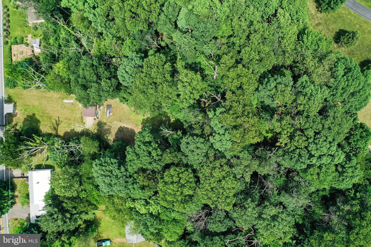Mountain Laurel Rd N