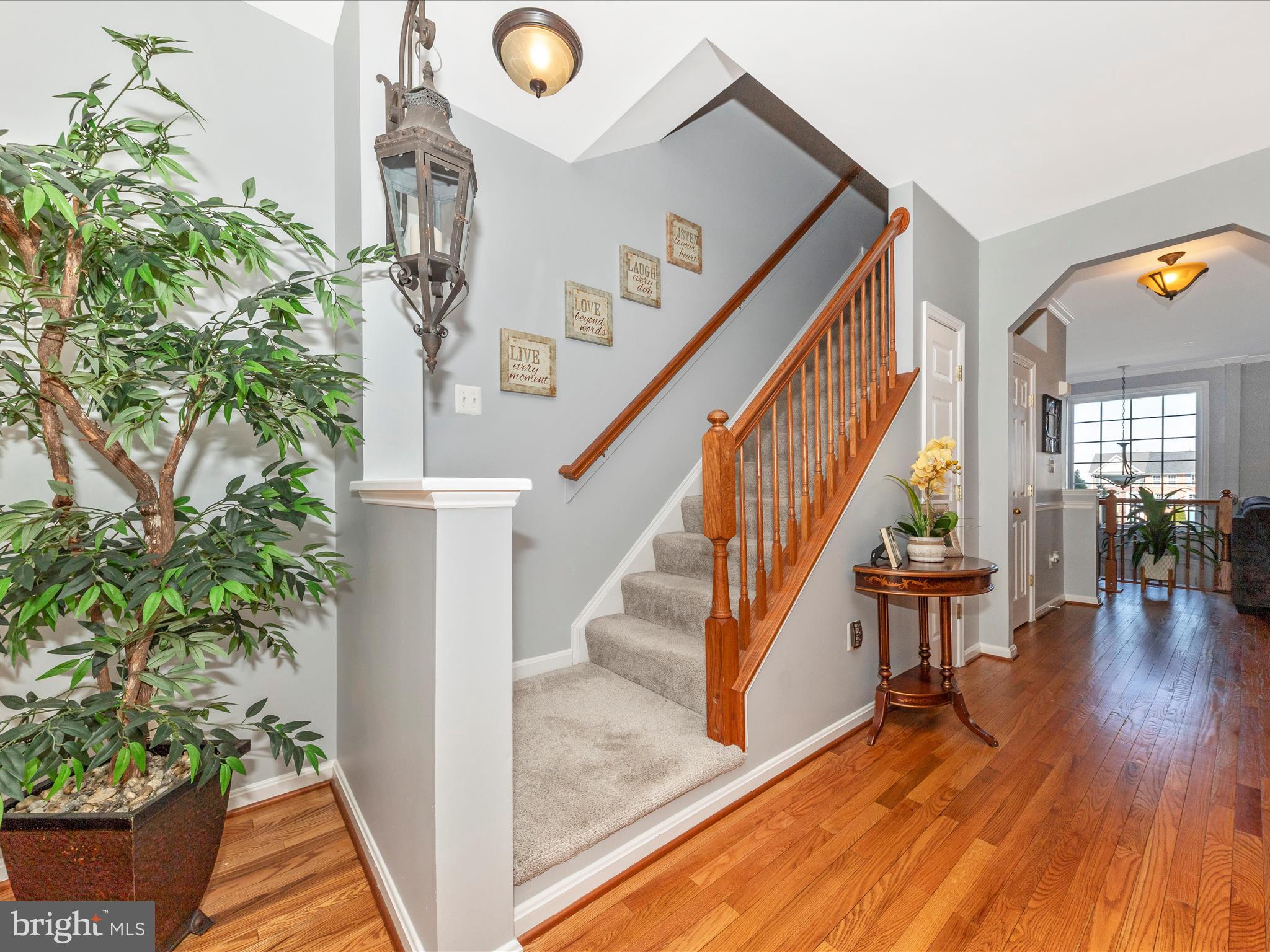 403 Green Fern Cir