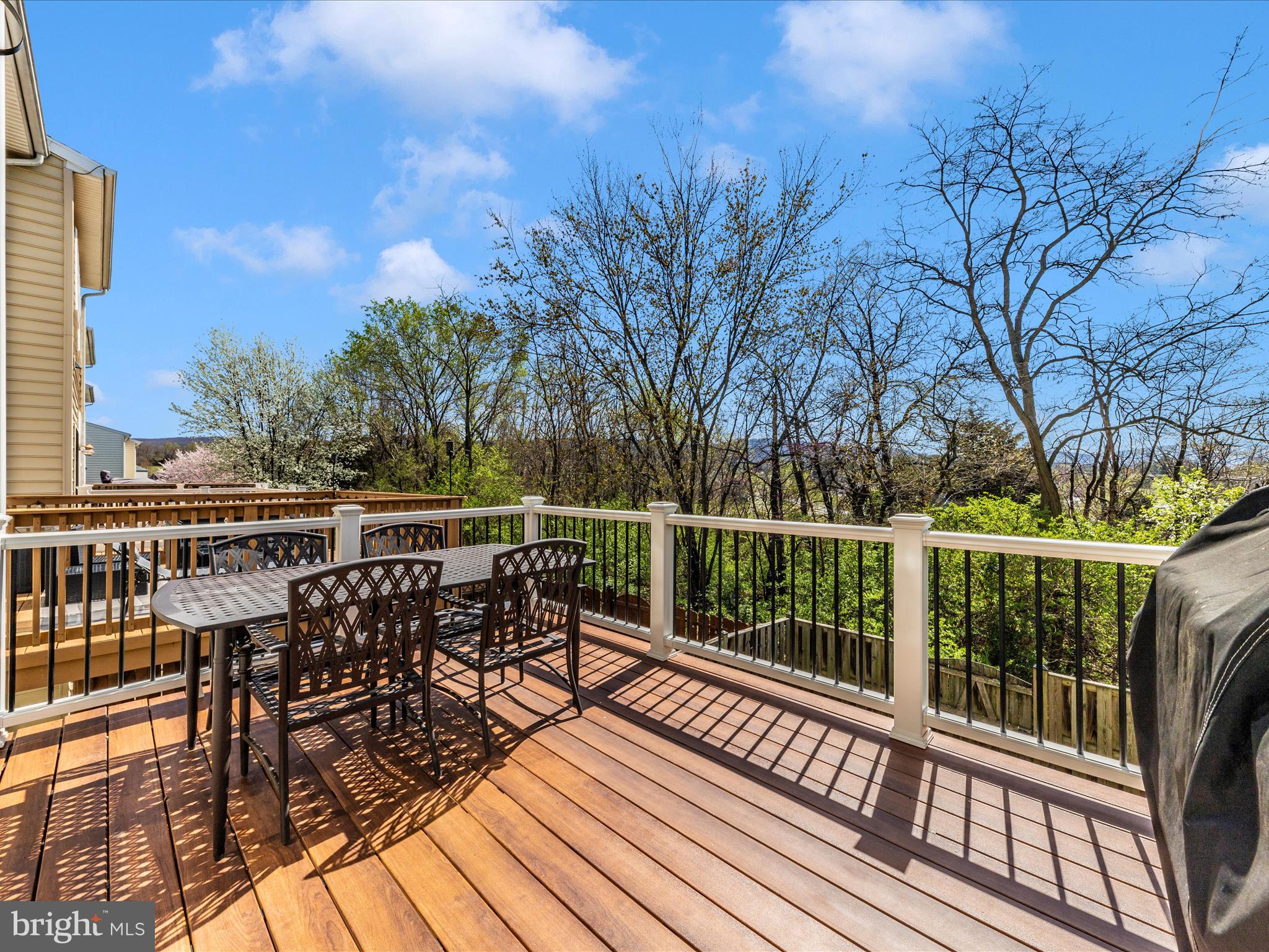 403 Green Fern Cir