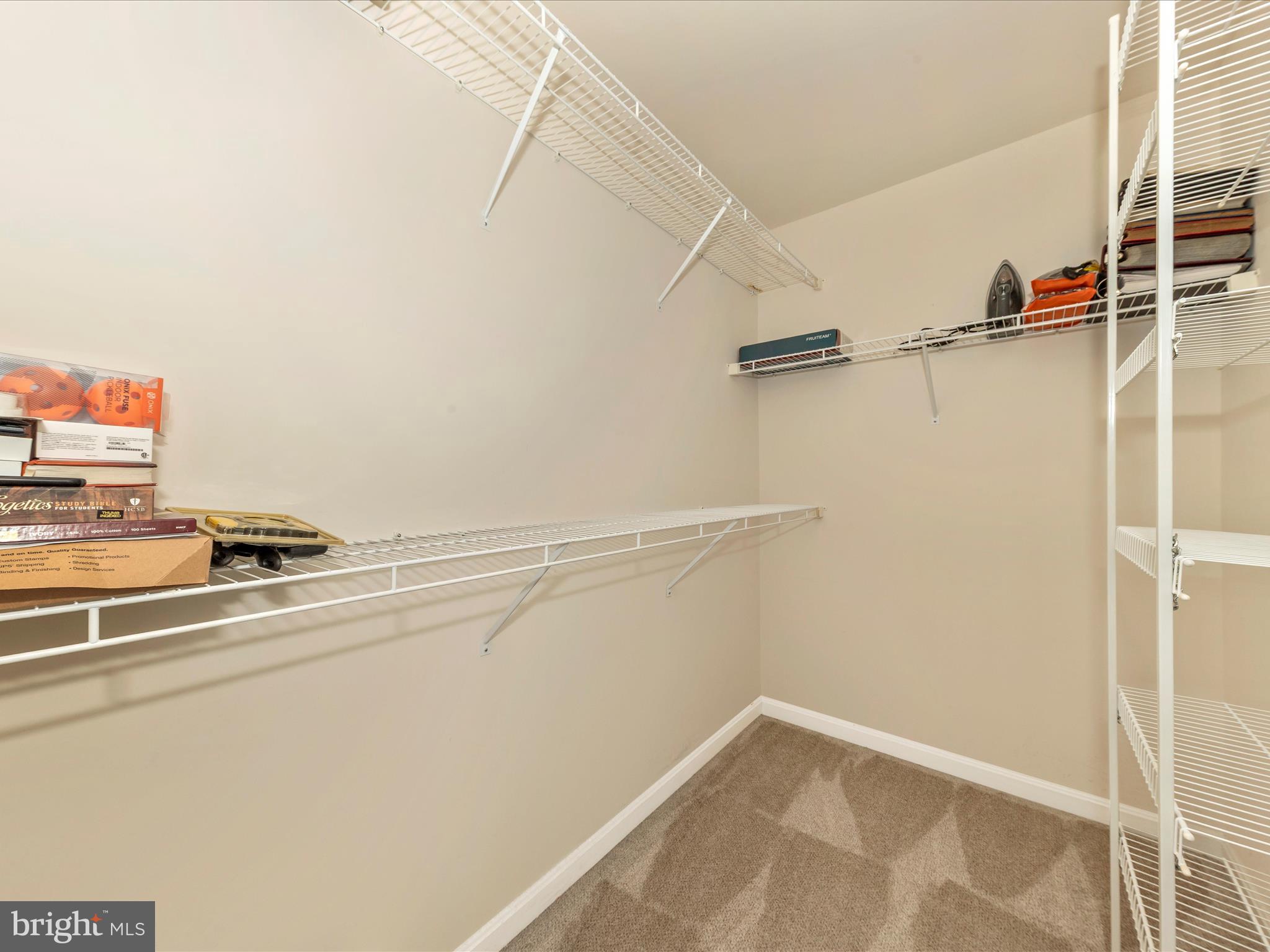 403 Green Fern Cir