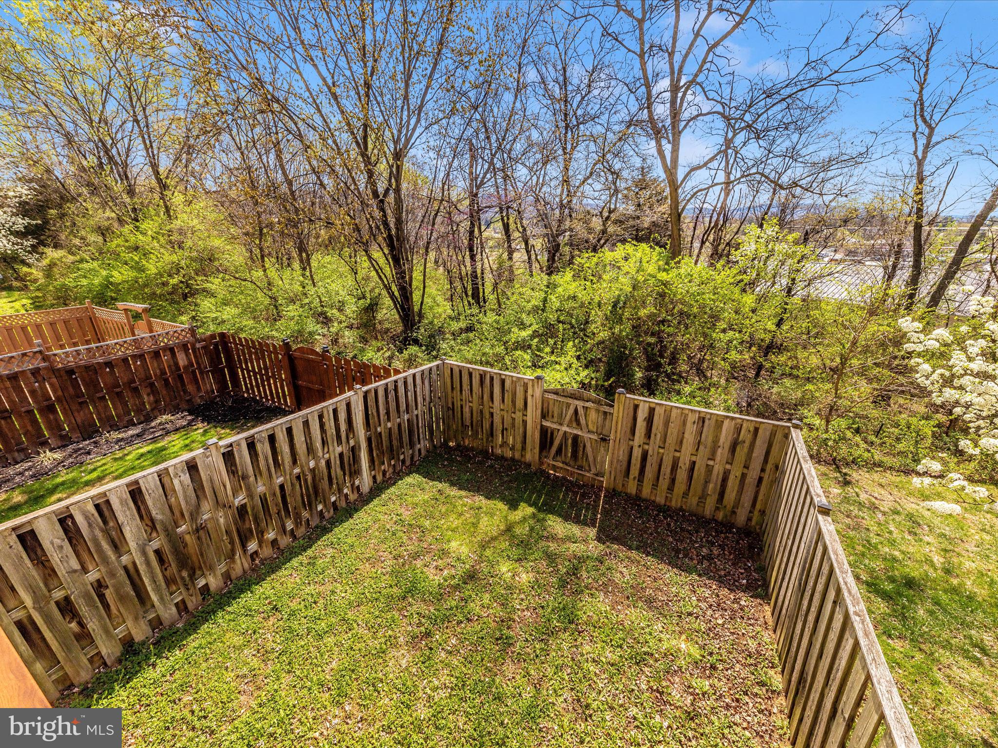 403 Green Fern Cir