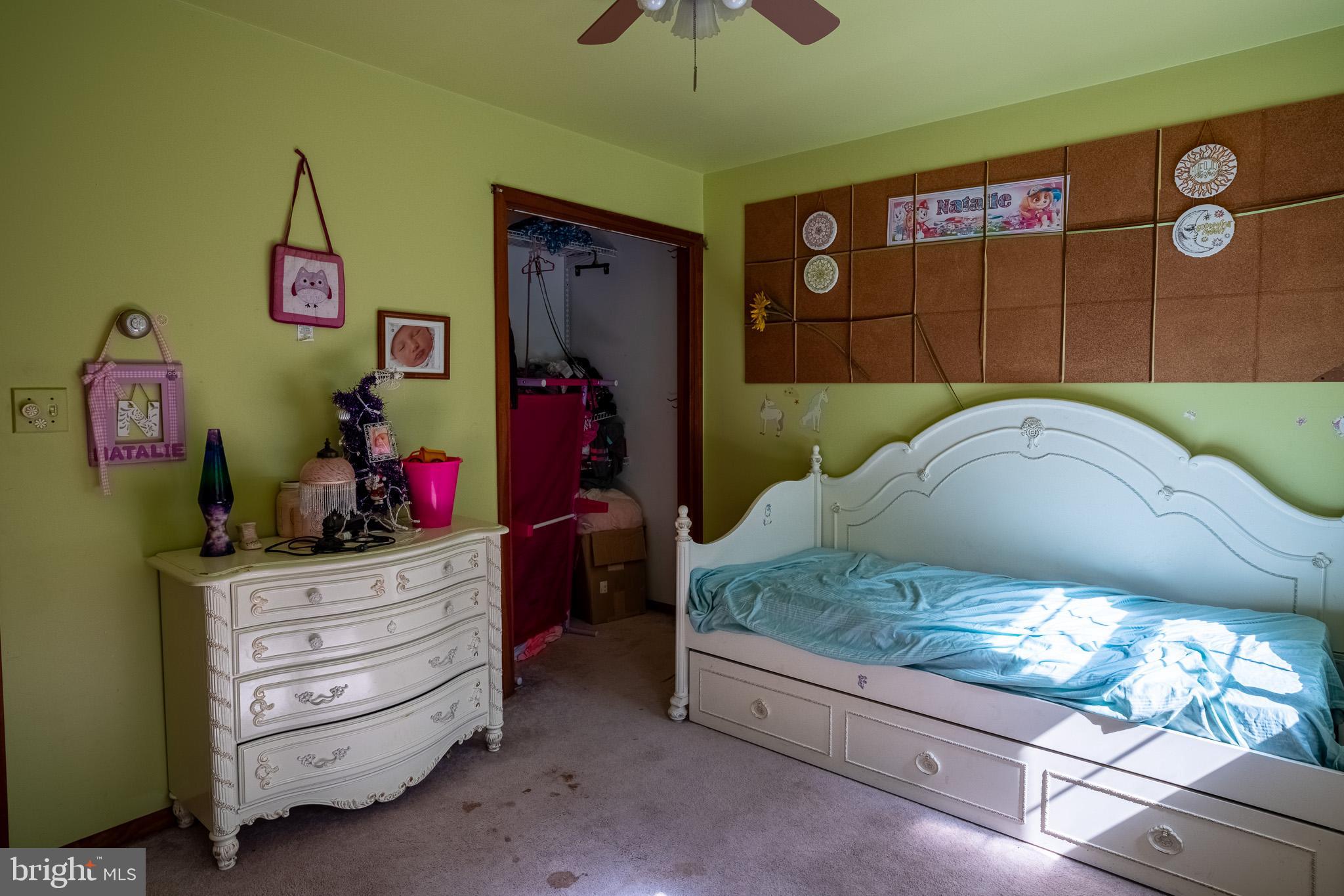 3931 TREGO MOUNTAIN RD ROAD