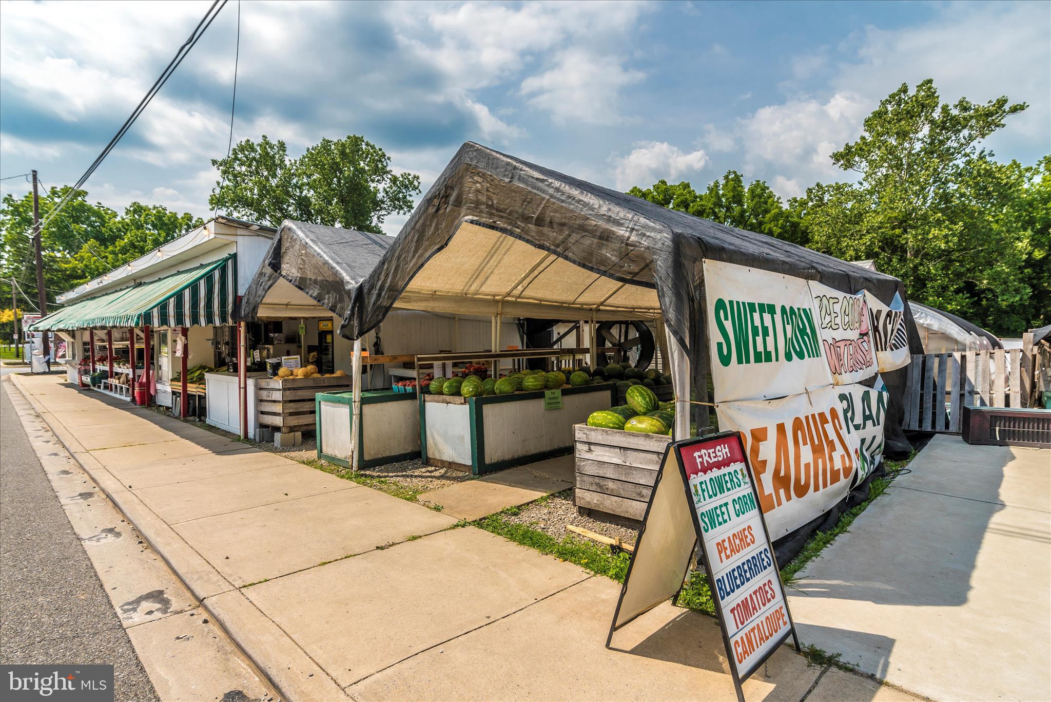 100 GREEN FERN CIRCLE