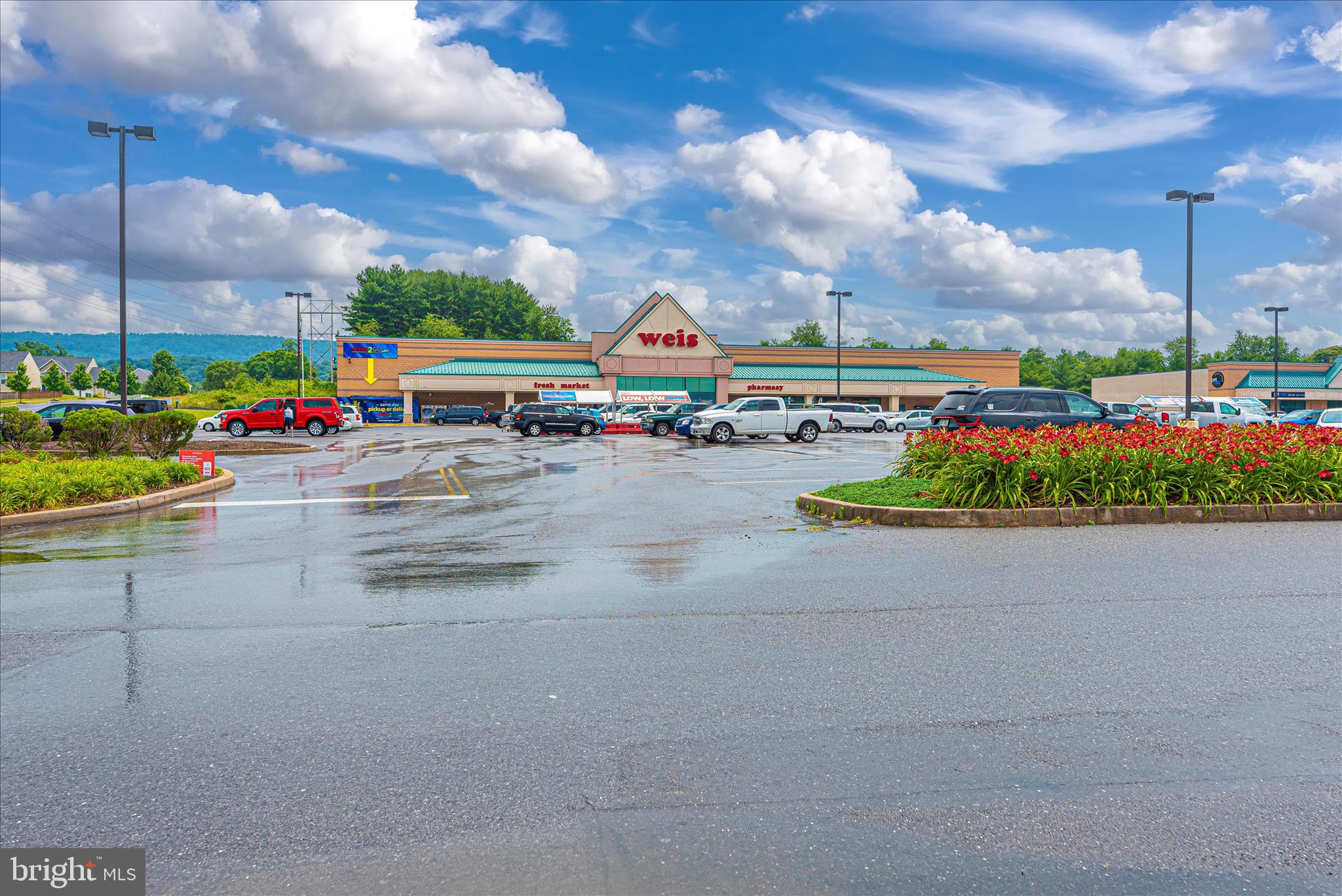 100 GREEN FERN CIRCLE