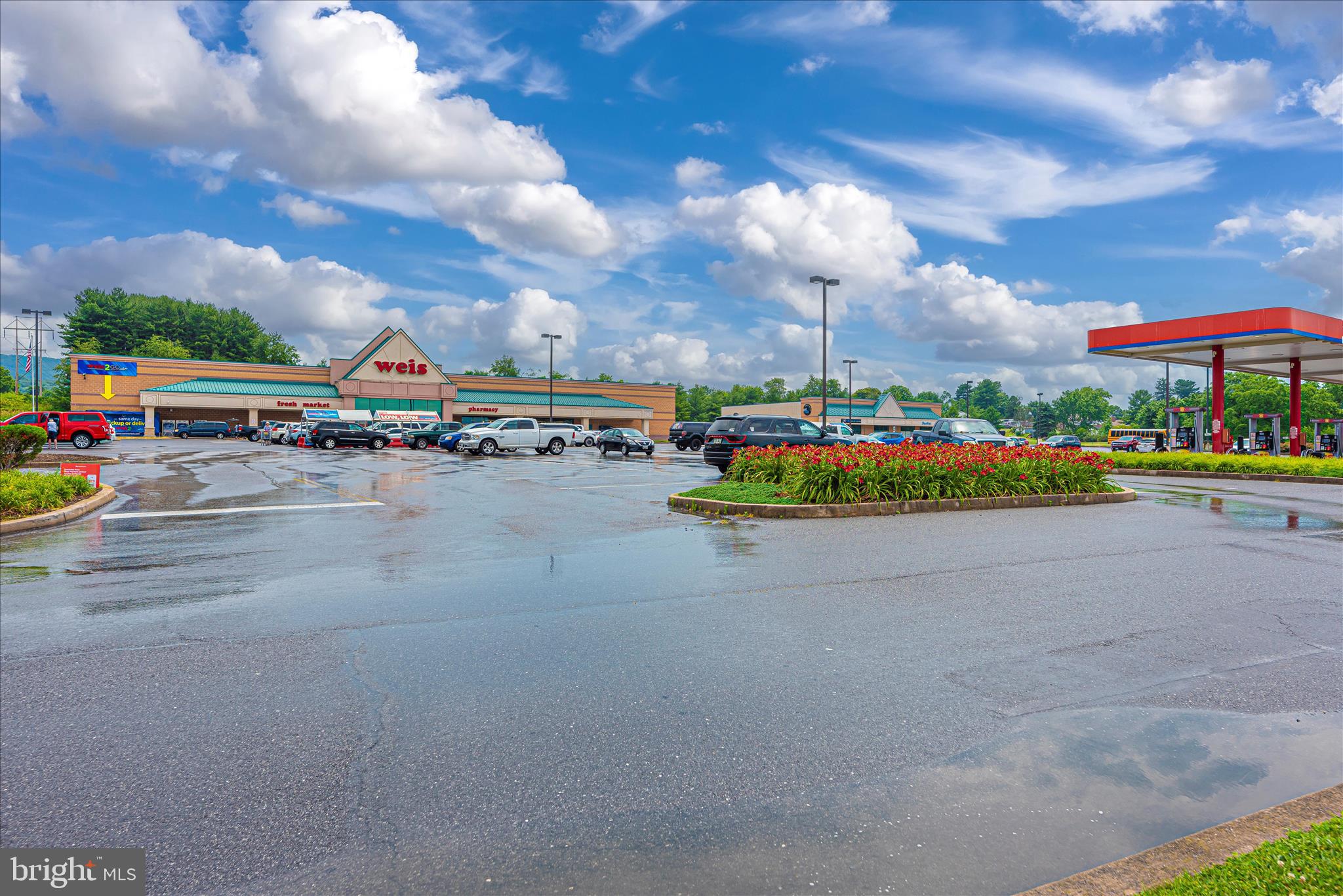 100 GREEN FERN CIRCLE