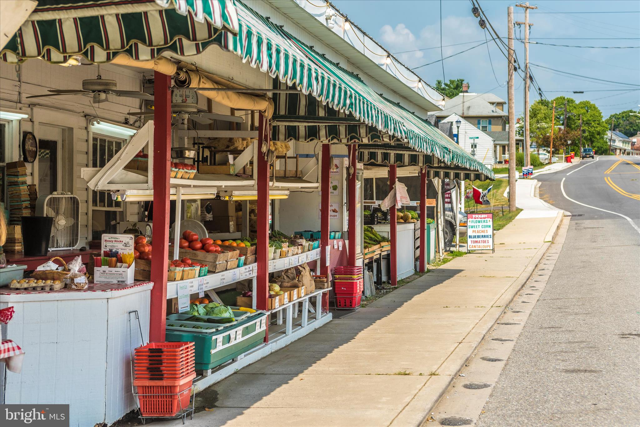 100 GREEN FERN CIRCLE