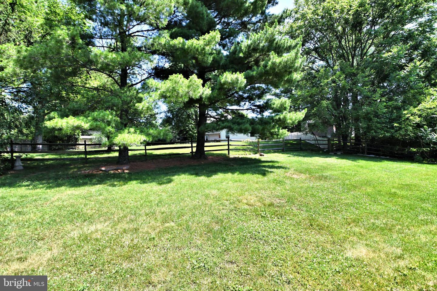 13 Remy PLACE
