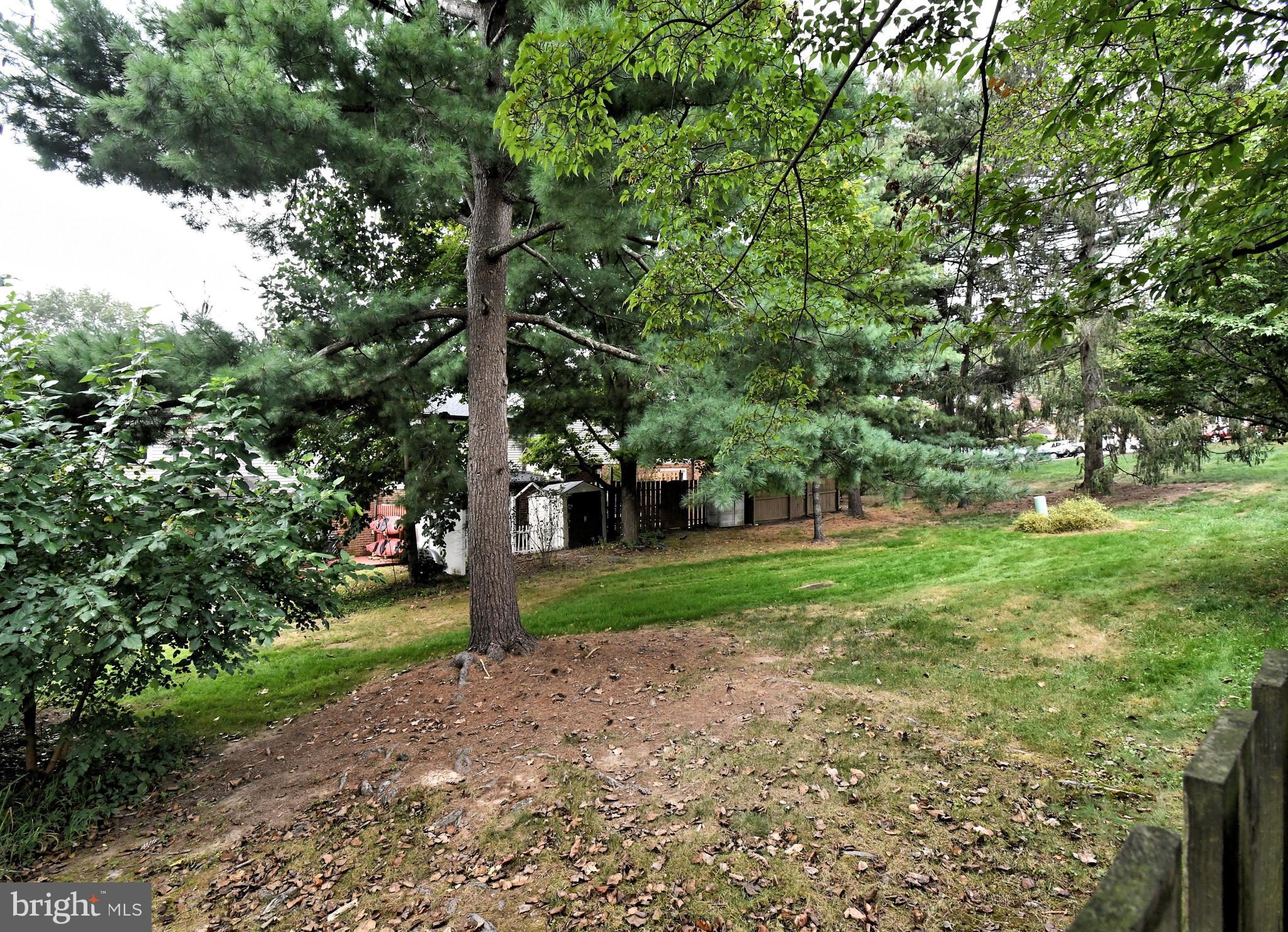 6 CONSTITUTION AVENUE