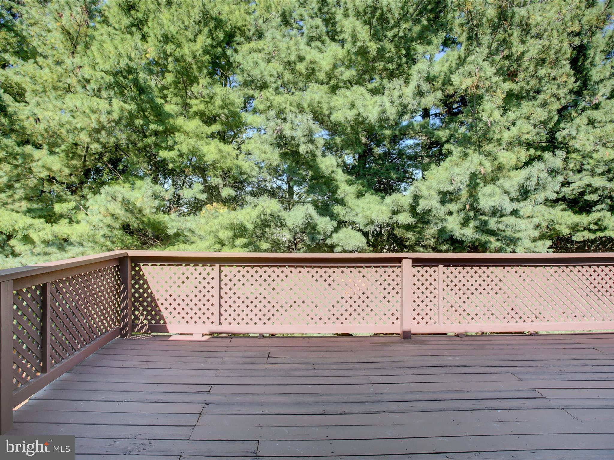403 SUNNY DRIVE