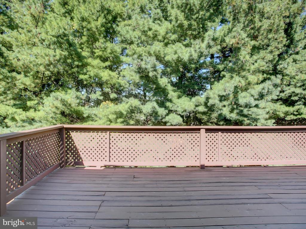 403 SUNNY DRIVE