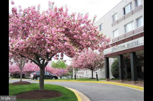 3701 5th STREET S Unit: 404