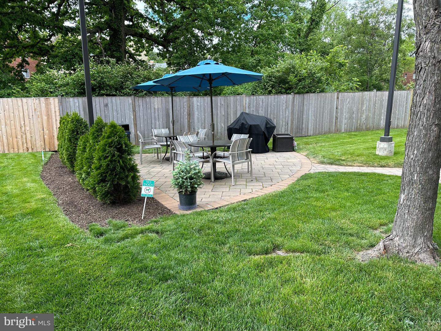 5353 Columbia PIKE Unit: 206