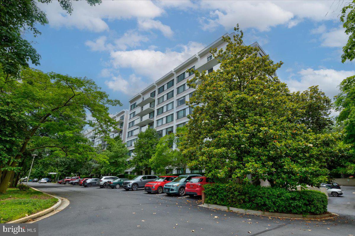 4501 Blvd #426